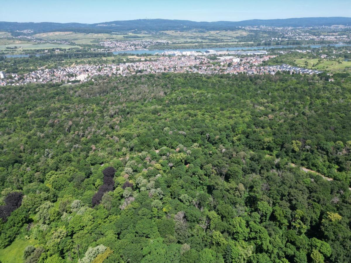 Ferienhaus Budenheim Eksteriør bilde